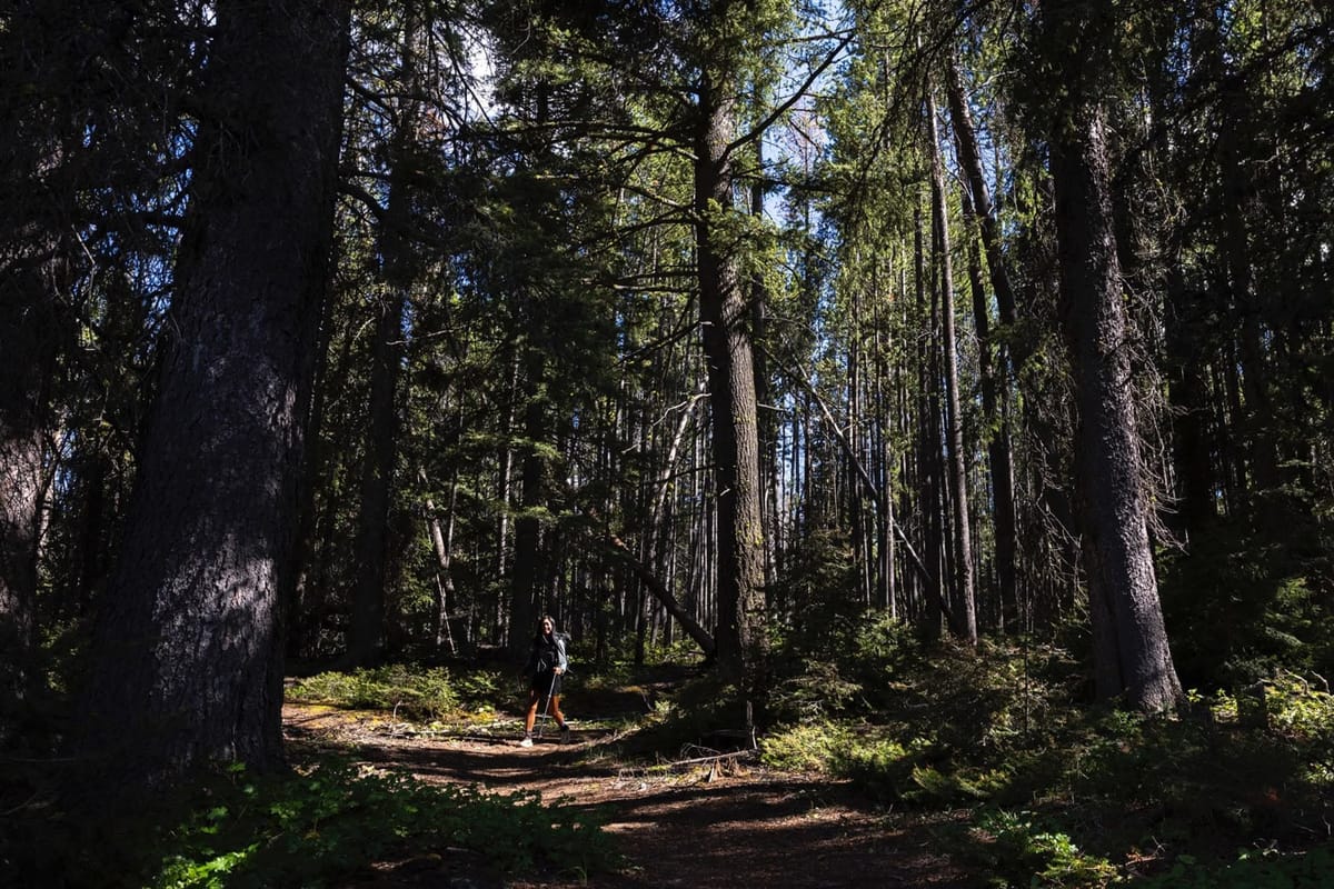 The 3,541-Mile Prescription