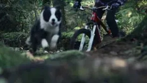 Video: Enter the Weekend in Style with this Dog Ripping Singletrack