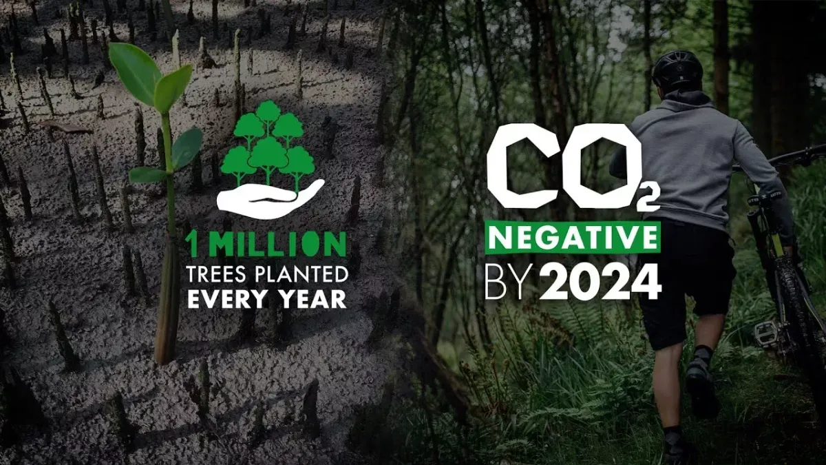 Endura Planted Over 1.3 Million Trees in 2020