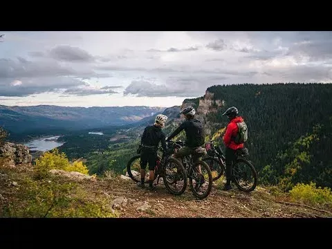 [Full Film] Usufruct: A Biking Story About Beetles and the Future of Our Forests