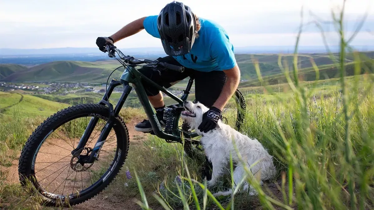 The Making Of A Trail Dog Featuring Stevie Sticks