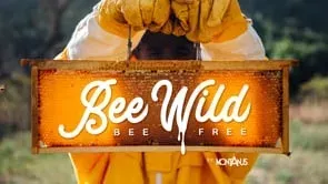 BEE WILD BEE FREE