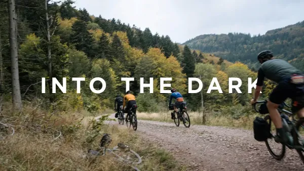 Into the Dark