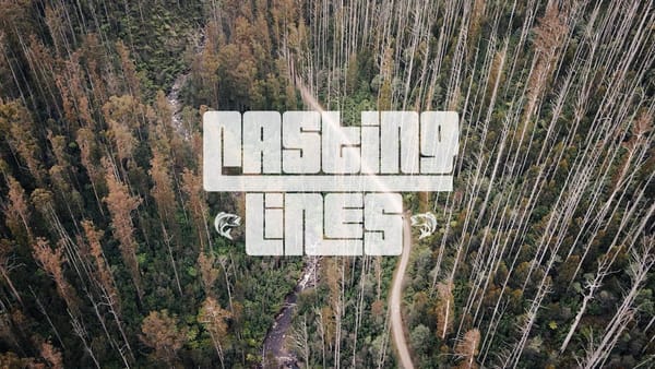 Casting Lines - Mountain Bikepacking in Marysville, Victoria