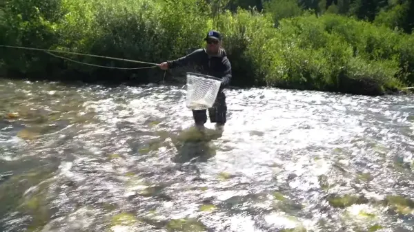 Bikepacking Into a Creek on Opening Day For Yellowstone Cutthroat Trout