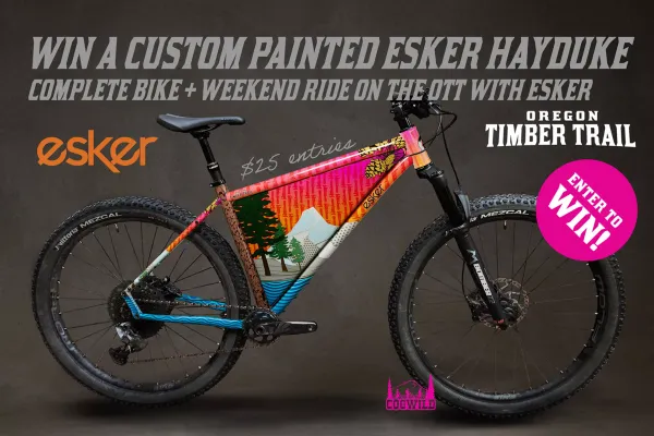 Win a Custom painted Esker Hayduke and Support a Good Cause