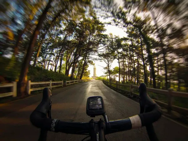 Biking through scenic nature route