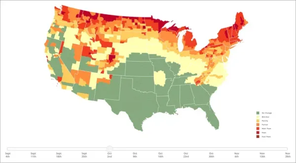 Plan a Scenic Ride with the 2023 Fall Foliage Prediction Map